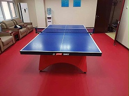 某单位乒乓球室