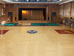 室内运动木地板篮球场