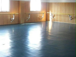 舞蹈室专用地板