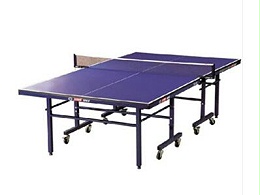单折式乒乓球台  型号TXP-T2123