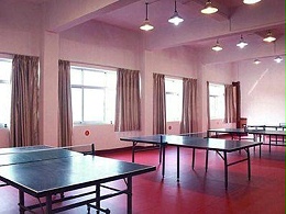 昆明市乒乓球俱乐部-运动地板